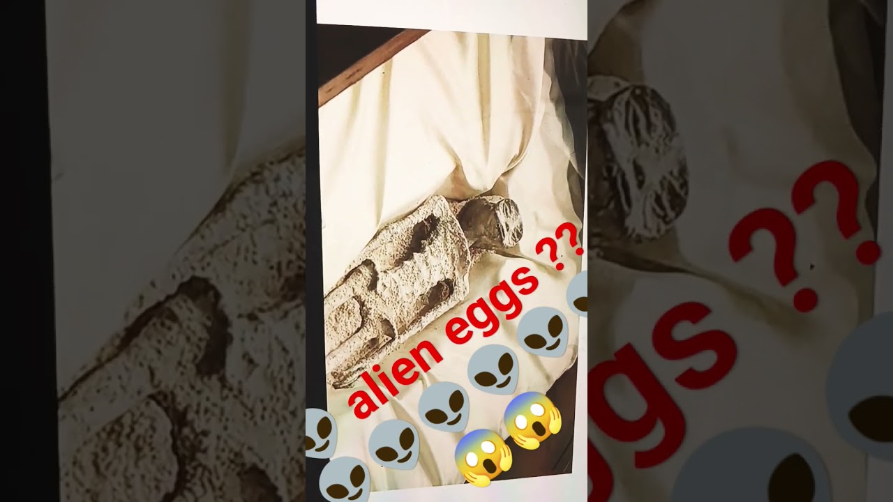 Alien eggs , alien bodies found in Mexico?? 