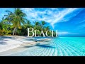 Tropical beach 4k relaxation film  relaxing piano music  natural landscape