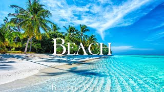 Tropical Beach 4K Relaxation Film - Relaxing Piano - Natural Landscape