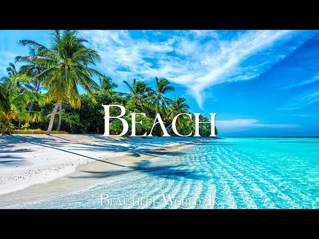 Tropical Beach 4K Relaxation Film - Relaxing Piano Music - Natural Landscape class=