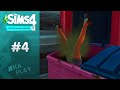 Зачатие в мусоре! / The Sims 4 Экологичная жизнь - #4