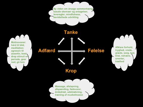 Video: Kognitive Forvrengninger (+ Metode)