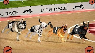 Racing Dog Simulator: Crazy Dog Racing Games |Zoo games| screenshot 5