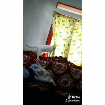 Ngintip tetangga yg lgi ribut😝