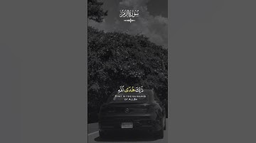 الله نزل أحسن الحديث كتابا متشابها | سورة الزمر | ماهر المعيقلي