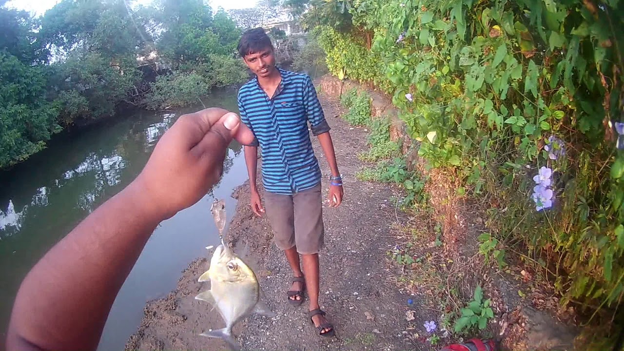 mangrove fishing in Goa with TOP WATER LURES YouTube