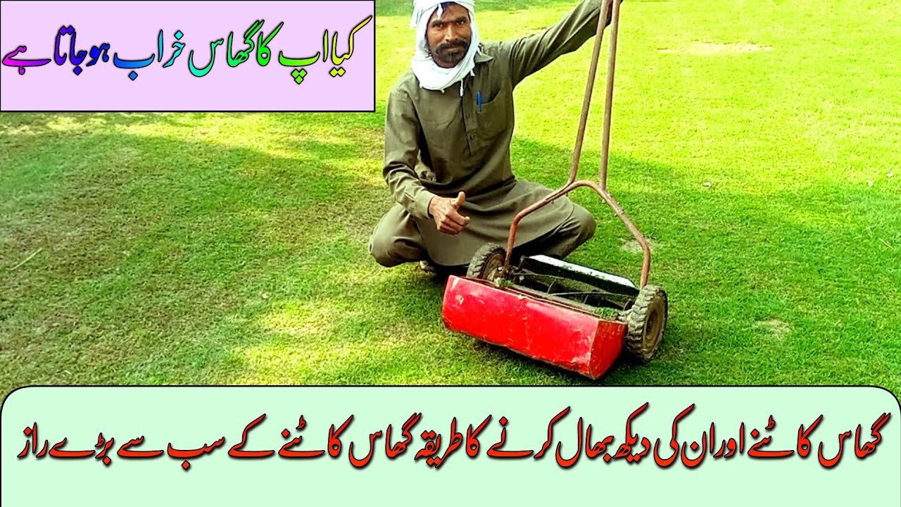 How to grass and care MOST EPIC SECRETS OF GRASS CUTTING tips Anas