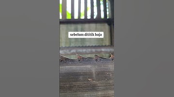 gergaji pita somil sebelum titik baja #fy #fypシ゚viral