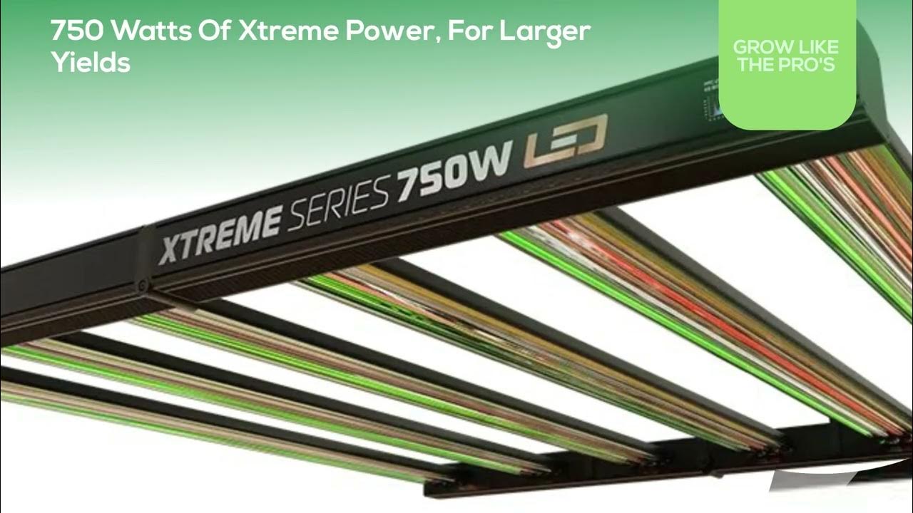 Dimlux Xtreme Series 750w LED Grow Light YouTube