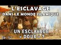  quoi ressemblait lesclavage dans le monde islamique  un phnomne multiforme viixviiie sicle