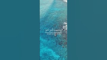 سورة الشورى-[25],[26]