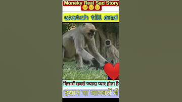 🥺robot_monkey_experiments#shorts BBC1_ BBC 1, BBC ONE, py in the  #manish_funny_tv #super_Khalsa