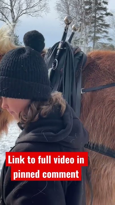 can-a-14-year-old-work-with-draft-horses-watch-full-video-to-find-out