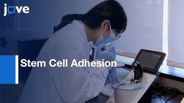 Fabrication: Biomimetic Nano-Matrix With Janus Base Nanotubes & Fibronectin l Protocol Preview