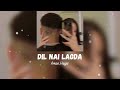 Dil nai lagda  aman hayer  sped up