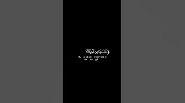 كروما شاشة سوداء قرآن كريم 🌿تلاوة من سورة مريم🌿القارئ محمد نجيب🌿