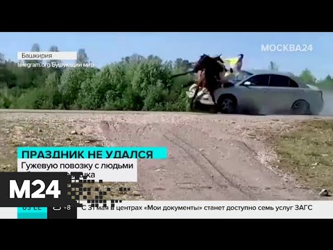 Легковушка сбила телегу с людьми в Башкирии - Москва 24