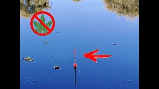 Рыбалка на карася НА ЗАПРЕЩЕННУЮ ПРИКОРМКУ рыбалка 2018 Рыбалка на карася НА ЗАПРЕЩЕННУЮ ПРИКОРМКУ рыбалка 2018