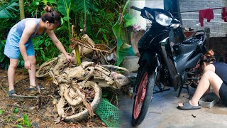 Reviving a car abandoned for 17 years - Full video of the girl's old car restoration process