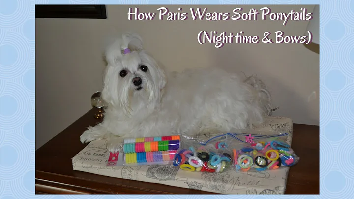 How Paris Wears Soft Ponytails (Night time & Bows)
