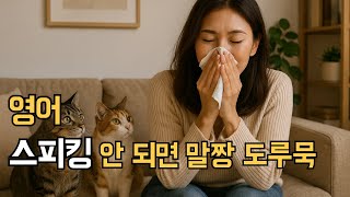 Download Lagu 신기하게 외워지는 원어민 일상표현 /299 MP3 Download Lagu 신기하게 외워지는 원어민 일상표현 /299 MP3