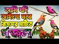         new very heart touching gojol islamic bangla gojol