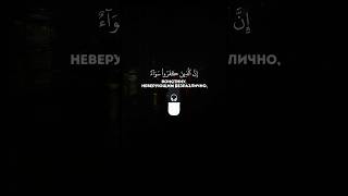 Сура: Аль-Бакара(Корова)| Аят: 6-7Чтец: Махди аш-Шишани