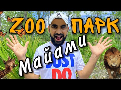 Video: Zoo Miami: Den kompletta guiden