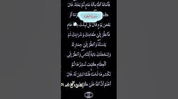 تلاوة عطرة من سورة البقرة بصوت الشيخ سعود الشريم