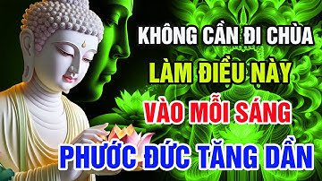 Nghe Lời Phật Dạy: Tu Tại Gia Chỉ Cần Làm 1 Việc Nhỏ Mỗi Sáng, Phước Báu Vô Lượng