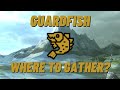 Guardfish | Where to Gather?