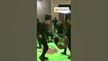 شاهد أقوة رجل في هز لكتاف الباشا Alisayfoo 