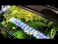 $28 ADA Style LED Aquarium Light Review -- Better than Finnex or Twinstar?