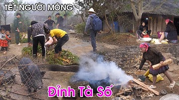 Tết Mông ở đỉnh Tà Số: Cả bản làm thịt lợn - Tết to hơn Tết nguyên đán | LAM SƠN TV