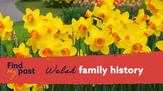 How To Find Welsh Ancestors | Findmypast