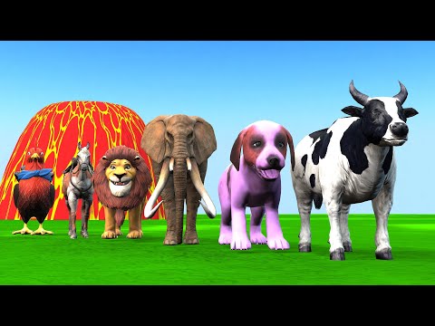 Paint & Animals
