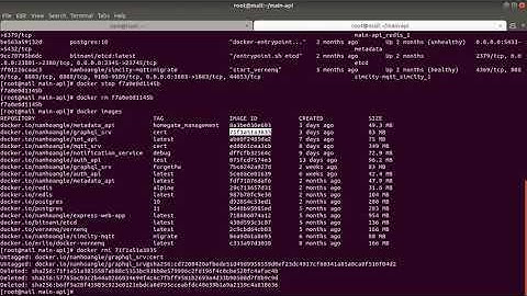 how to remove and run new image with docker-compose.yaml