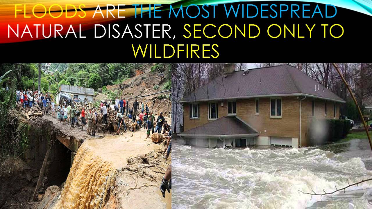 Best website to order a college natural disasters powerpoint presentation confidentiality Doctoral