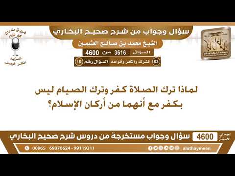 3616 4600 لماذا ترك الصلاة كفر وترك الصيام ليس بكفر مع أنهما من أركان الإسلام ابن عثيمين