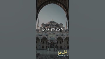 استعينوا بالصبر والصلاة #سورة_البقرة #القرآن_الكريم #ماهر_المعيقلي#اكسبلور#راحة_نفسية  #لايك #تلاوات