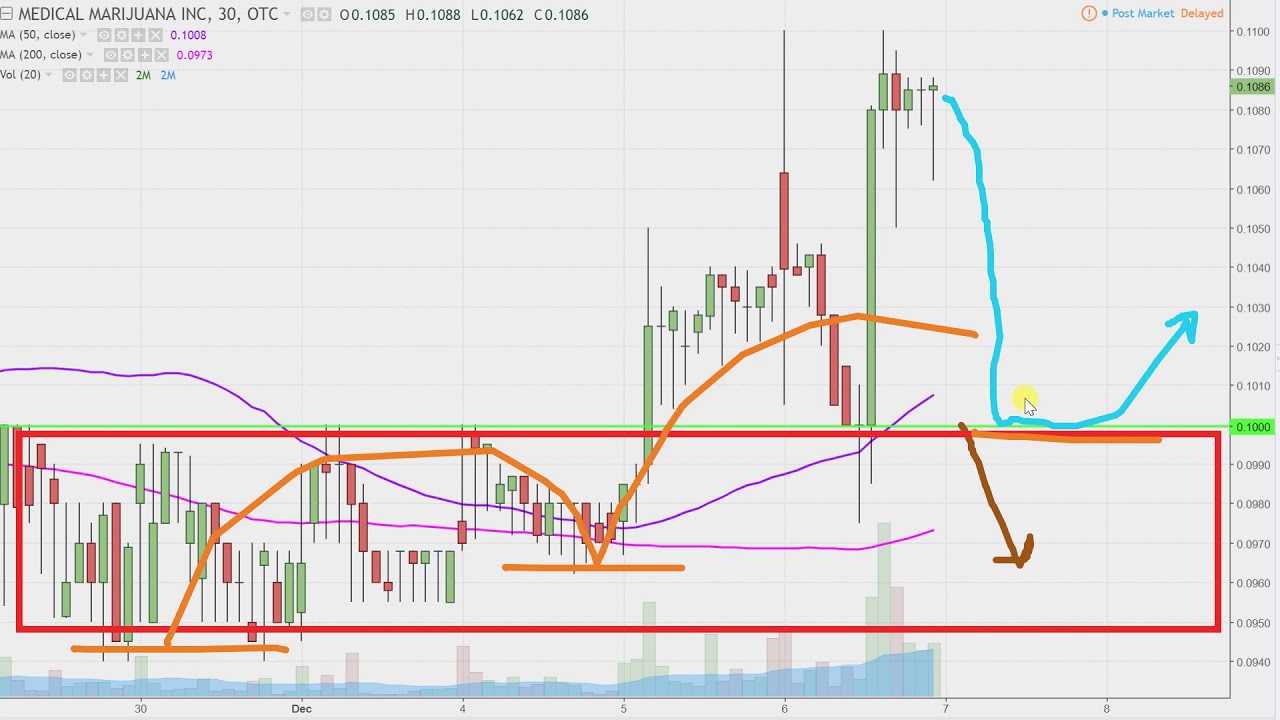 Medical Marijuana Stock Chart