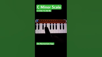 C Minor Scale On Harmonium #harmonium #shorts #viral #musiclessons #musictutorial #harmoniumtutorial