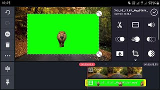 Green Screen Lion Graphic Visual Effect 2020