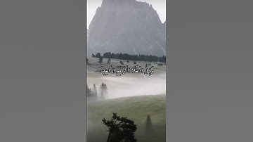 واتس اب قران كريم القارئ ماهر المعيقلي (سوره التحريم)