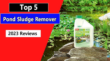 The Best Pond Sludge Remover | Best Pond Muck Reducer in 2025