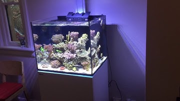 Playing around Hydra light settings