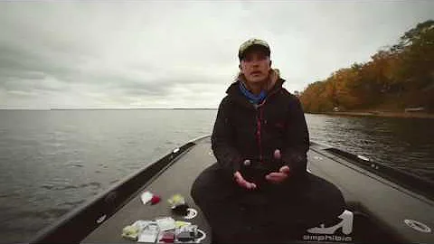 Feider Fly courtesy of Seth Feider