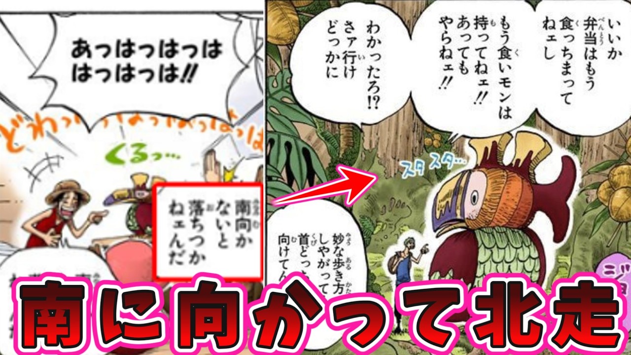 【ワンピース最新話1174話】ロロノア・ゾロさん、右と左がわからない　についての読者の反応集