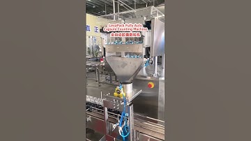 LevaPack Fully Auto Capsule Counting Machine