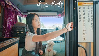 You can do car camping on the town shuttle bus!? | Spicy budae jjigae and meat roll are the best...